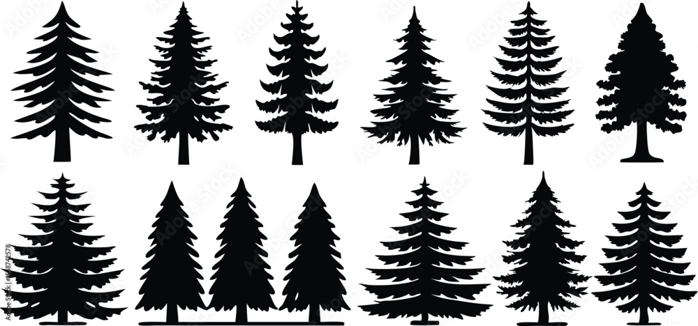 Fototapeta premium Set of Pine Tree Silhouettes Vector Collection,set of different tree silhouette vector,Pine tree vector silhouette,silhouette black color vector,pine tree forest silhouette,illustration,Ai