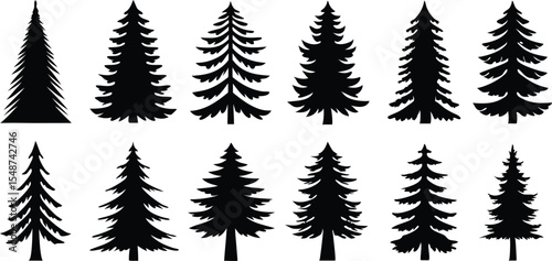 Set of Pine Tree Silhouettes Vector Collection,set of different tree silhouette vector,Pine tree vector silhouette,silhouette black color vector,pine tree forest silhouette,illustration,Ai