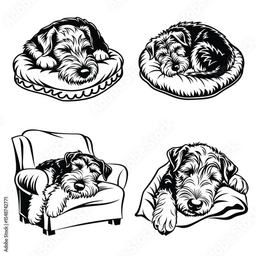 Airedale Terrier dog svg