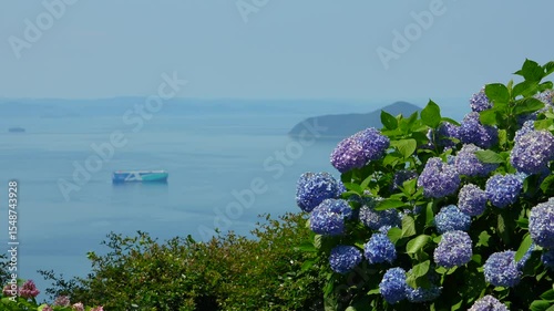 紫陽花咲く紫雲出山の景色