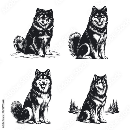 Alaskan Malamute dog svg