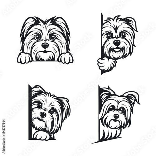 Biewer Terrier dog svg