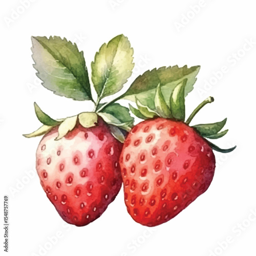 Watercolor style illustration of two ripe strawberries with green leaves