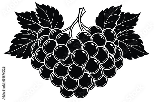 Elegant Black and White Illustration of Grapes A Delightful Cluster