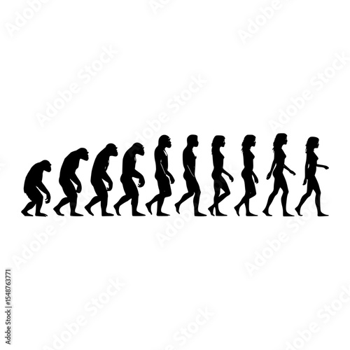 Human evolution stages silhouettes illustration