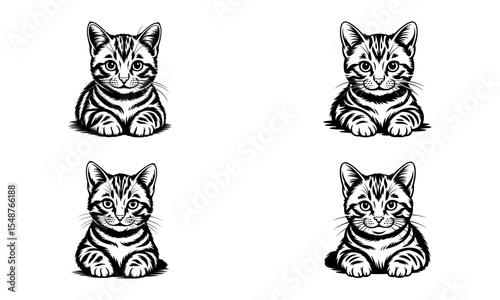 Cute black and white kitten illustrations with hand drawn style and adorable animal expressions
