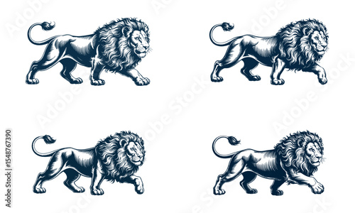 Majestic lion illustrations in vintage engraving style with walking wild animal poses
