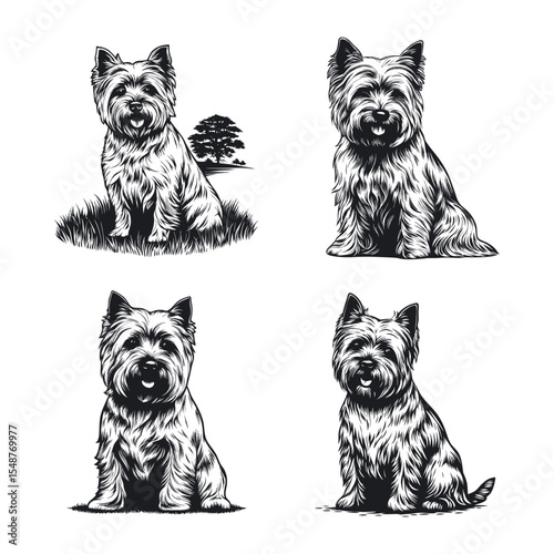 Cairn Terrier Dog Svg