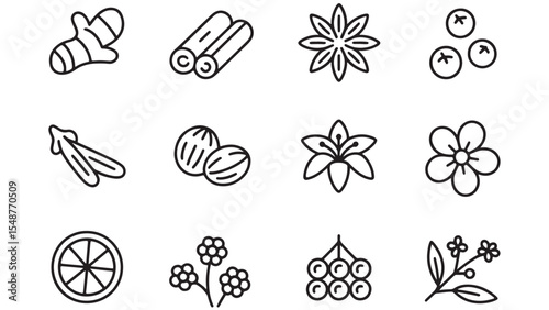 Spice and Herb Vector Icons Free Downloadable Line Art Graphics for Culinary Designs