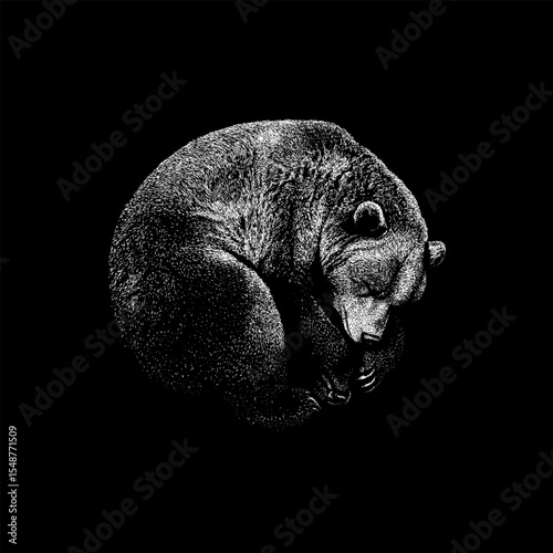 Sleeping bear hand drawing vector isolated on black background.