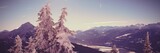 Snowcapped and forest during winter