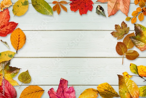 Autumn leaves fallen on wooden background