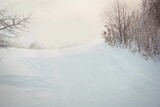 Snow covered forest during winter