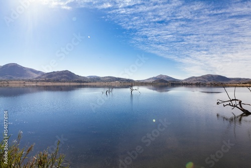 flat illustration is showing calm lake reflecting dead tree stumps, with reeds hills and lens flare