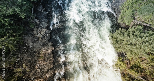 Flat design is showing whitewater rapids rushing through rocky channel amid conifers in aerial view