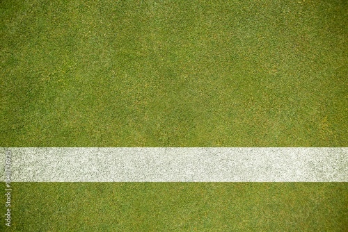 Thick horizontal white painted line is running across green grass turf in flat vector illustration