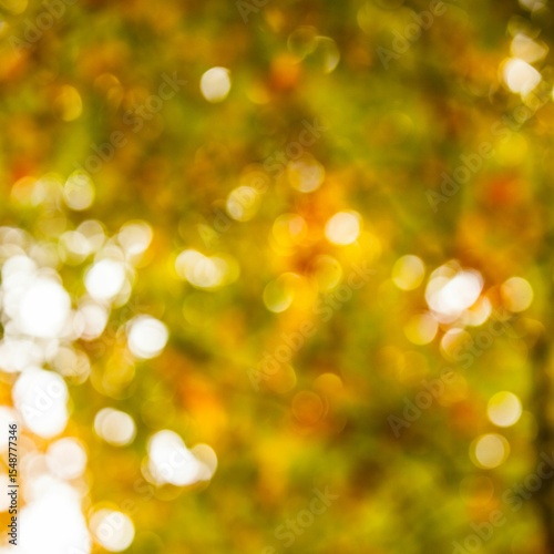 Defocused image of trees during autumn