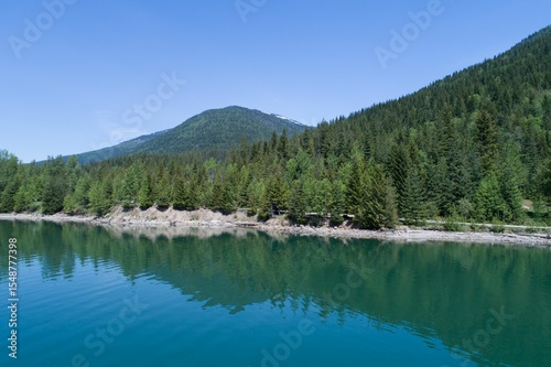 Forest on mountain by river against blue sky
