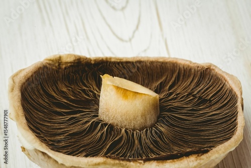 Fresh mushroom on wooden table