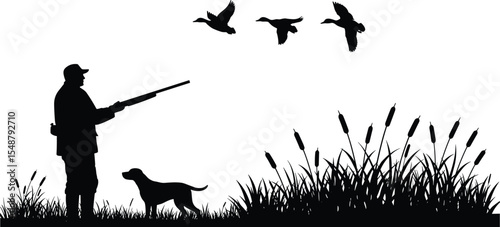 Silhouette of hunter with dog aiming at flying ducks, marsh grass, wetland scene, wildlife hunting illustration, vector design, outdoor forest nature background