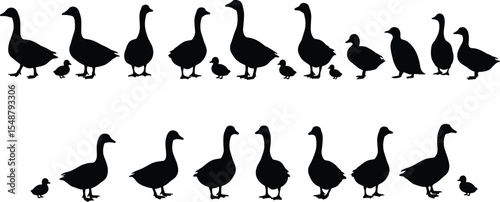 Silhouette illustration of duck and goose families, walking poses, adult and baby birds, farm animal vector collection, black nature wildlife icons on white background