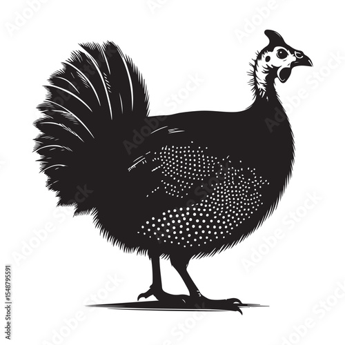 vector illustration of a chicken