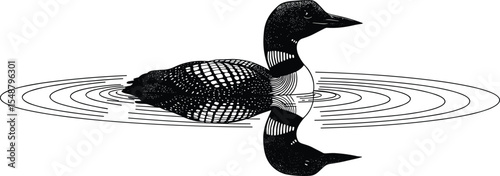 Elegant black loon swimming on calm water, symmetrical reflection art, serene wildlife illustration, minimalist vector design, peaceful nature scene, isolated aquatic bird tranquility