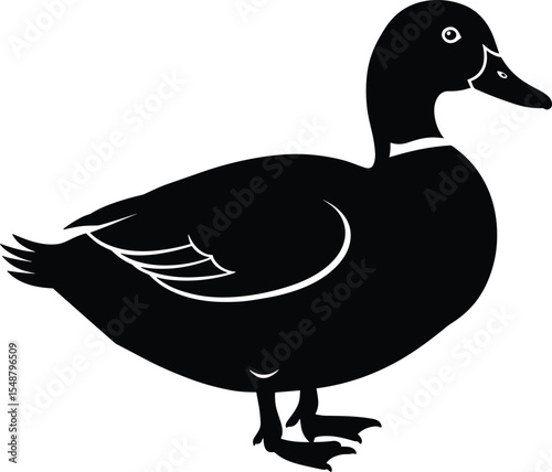 Detailed Duck Silhouette Illustration with Feather and Eye Outline, Standing Pose for Wildlife Vector Art, Nature Scene, Animal Icon, Farm Bird, and Graphic Design