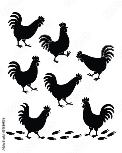 Rooster Silhouettes  Vector Illustration