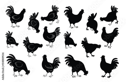 Rooster Silhouettes  Vector Illustration