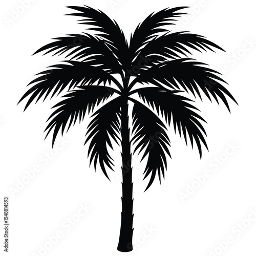 A detailed silhouette of a palm tree is featured over a transparent backdrop