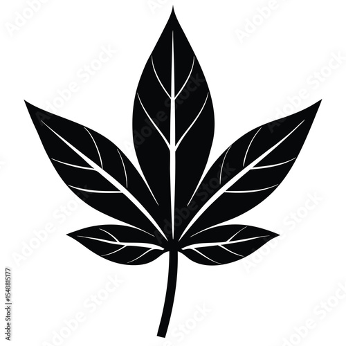 Single black marijuana leaf displays prominent veins against white transparent backdrop easily scalable