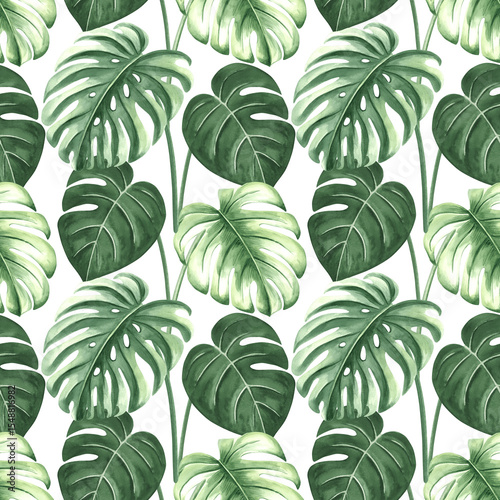 Watercolor tropical palm leaves illustration for summer rainforest designs. Botanical seamless pattern of monstera. Hand drawn jungle plants in realistic style. Lush greenery exotic foliage background