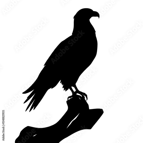 eagle silhouette perched on branch in side profile
