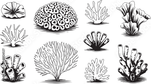 This image features various types of coral and marine organisms in silhouette, showcasing intricate and diverse shapes for underwater themes