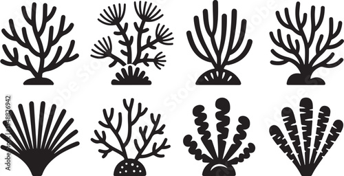  various types of sea plants and aquatic flora, rendered in detailed line art, suggesting a vibrant underwater environment or marine botanical collection.