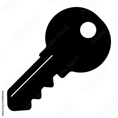 Isolated black and white image of a standard house or car key