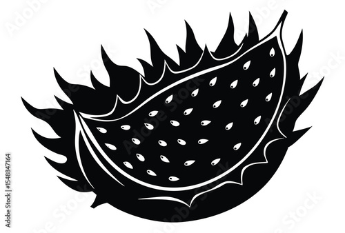 Dragon Fruit Sliced Silhouette Vector Illustration Fresh Tropical Fruit Outline Art