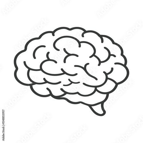 Human Brain Organ Line Art Vector Doodle