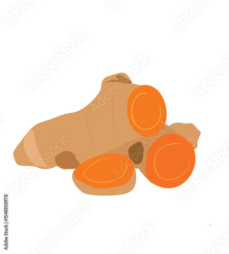 turmeric. Vector illustration, rhizome of turmeric or Curcuma longa, 