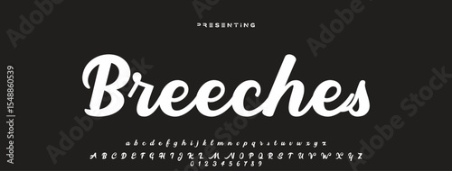 Luxury serif font in modern style. Elegant wedding alphabet letters font and number. Typography Luxury classic lettering serif fonts decorative vintage retro logo