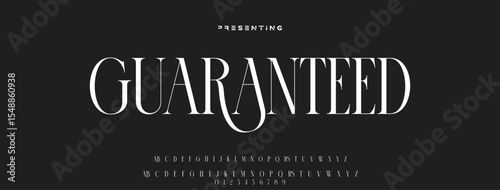 Luxury serif font in modern style. Elegant wedding alphabet letters font and number. Typography Luxury classic lettering serif fonts decorative vintage retro logo