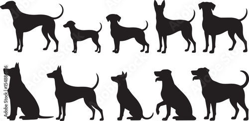 Silhouette Dog Collection Vector Illustration of Various Breeds Poses