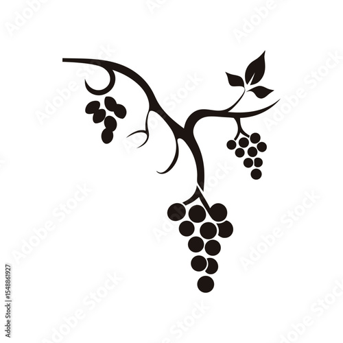 Modern minimalist grapes vine icon in vector format, perfect for eco product logos, wine branding, vineyard websites, healthy juice packaging, and decor

