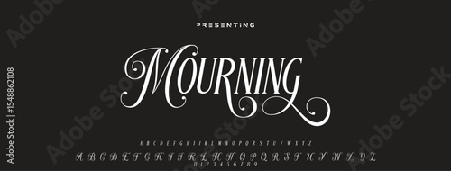 Luxury serif font in modern style. Elegant wedding alphabet letters font and number. Typography Luxury classic lettering serif fonts decorative vintage retro logo