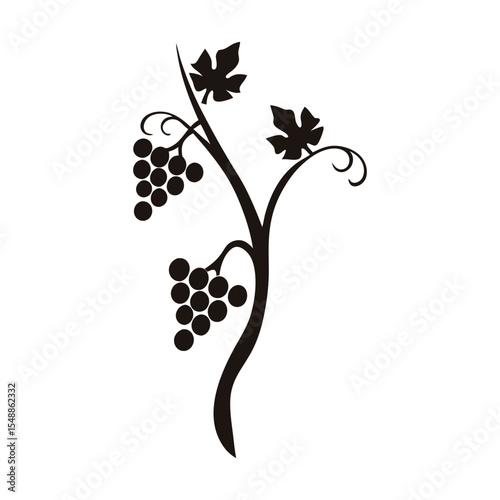Classic grapes vine vector icon with thin lines and stylized cluster, perfect for restaurant logos, wine bar menus, nature-themed branding, and print decor

