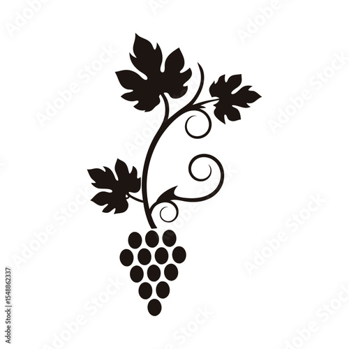 Grapes vine vector icon with minimal outline and elegant form, ideal for wine bottle labels, organic farm branding, vineyard graphics, and food packaging

