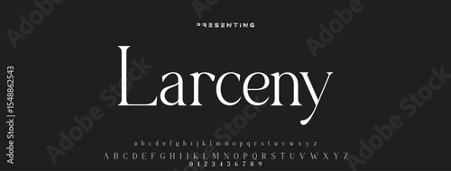 Luxury serif font in modern style. Elegant wedding alphabet letters font and number. Typography Luxury classic lettering serif fonts decorative vintage retro logo