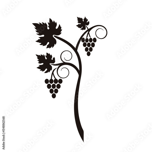 Vintage grapes vine vector icon with clean lines and botanical detail, ideal for wine branding, vineyard logos, organic food labels, and digital decor use

