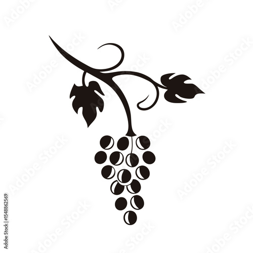 Hand-drawn style grapes vine icon in vector format, featuring elegant curves and fruit cluster, great for natural product branding and winery label designs

